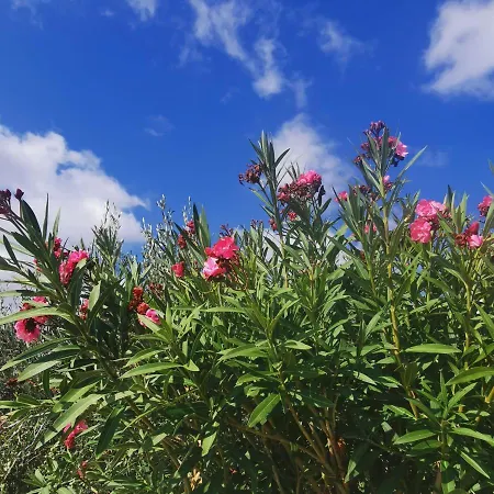 Appartement Kelly's Chrisi Akti (Paros)
