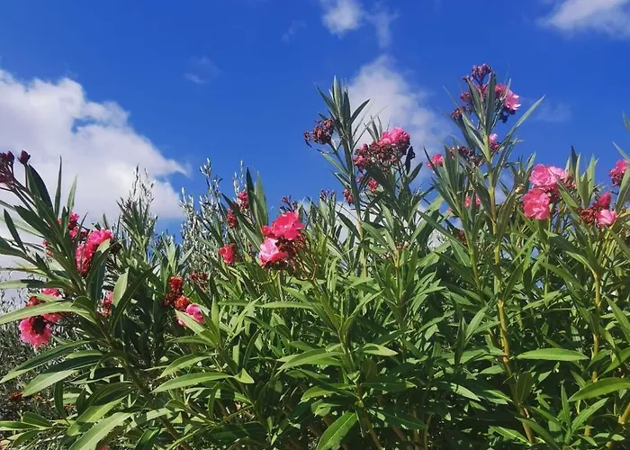 Lejlighed Kelly's Chrisi Akti (Paros)