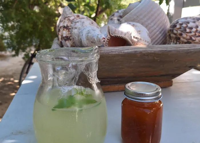 Lägenhet Kelly's Chrisi Akti (Paros)